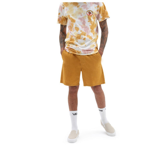 Vans Ανδρικό σορτς Range Salt Wash Relaxed